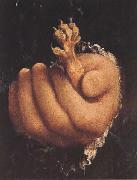 Lorenzo Lotto Man with a Golden Paw (mk45) Spain oil painting artist